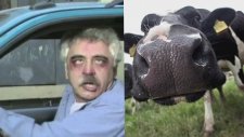 En Garip Yasakları Olan Ülkeler