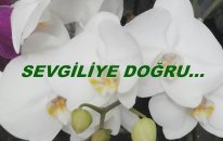 Sevgiliye Doğru...