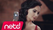 Devrim Gürenç - Sen Hiç mi Bahar Görmedin?