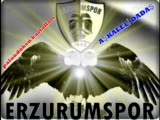 Erzurum Dağlarında Ceylan Gezer