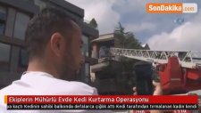 Ekiplerin Mühürlü Evde Kedi Kurtarma Operasyonu