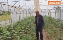 Asfalttan Geçen Mazgal Tıkandığı İçin Arazisini Sulayamıyor