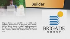 Brigade Woods