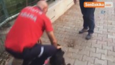 Nehre Düşen Yavru Köpek Kurtarıldı