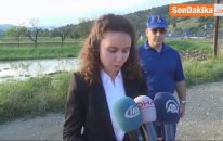 Seben Kaymakamı İdil Özdemir: