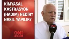Kimyasal Kastrasyon (Hadım) nedir? Nasıl yapılır?