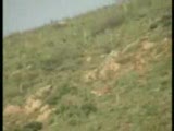 Ceylanlar-Varto