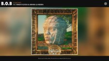 B.o.b - Elbows Ft. Waka Flocka, Amara La Negra