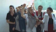 Adnan Oktar'ın Kedicikleri Sağlık Kontrolünden Geçirildi