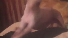 Metalci Köpeğin Sanatını Anlamayan Sahibi