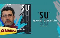 Şahin Çokbilir - Umuda Yolculuk