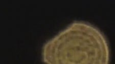 Karadeniz Ereğli'de Görülen Ufo