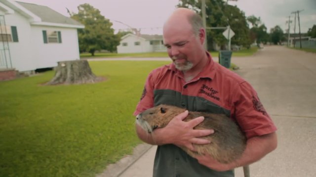 Rodents Of Unusual Size (2017) Fragman