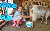 Köyde Doğal Bir Gün Geçirmek! ( Çok Korktum )