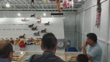 Aşırı heyecanlı Dıgıdık yarışı