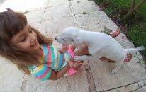 Sitemize 2 Tatlı Misafir Geldi. Elif Köpekciklerden Ayrılmak İstemedi. Eğlenceli Çocuk Videosu