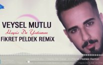 Veysel Mutlu - Hapis De Yatarım
