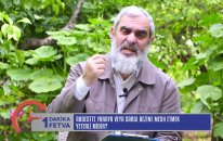 Abdestte yaraya veya sargı bezine mesh etmek yeterli midir? / BirFetva - Nureddin Yıldız