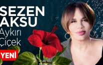 Sezen Aksu - Aykırı Cicek