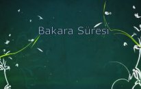 Nazar,sihir,büyü,aile İçi Huzursuzluk,kısmetsizliklere Karşı Hafız Ahmet Sarıkaya’dan Bakara Suresi