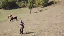 Drone Gören Masum Köylü