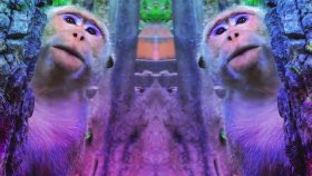 Benny Benassi - Everybody Needs A Kiss Feat. Sofi Tukker Benny Benassi - Everybody Needs A Kiss Feat. Sofi Tukker