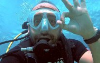 Hawaii'de Kopekbalıgı Dalısı: Whitetip Reef Shark Diving - Maui