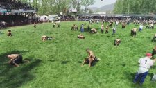 Hafife Aldığı Atom Karıncaya Yenilen Finikeli Erkan