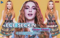 Ece Seçkin - Dibine Dibine (Fikret Peldek Remix) 2018