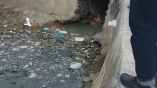 Kanalizasyon Sularında Yüzen Adam