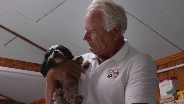 Life in the Doghouse (2018) Fragman