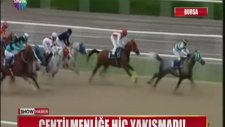 Dört Nala Tokat - Bursa