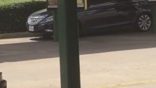 İnatla Arabayı Direğe Sürten Kadın