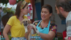 Hayvan Sevgisi Her Şeye Bedeldir! - Ege'nin Hamsisi 9.Bölüm (17 Eylül Pazartesi)
