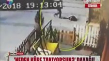 İstanbul'un Ortasında Küpe Dayağı