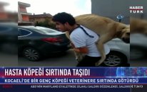 Sırtına Aldığı Hasta Köpeği Veterinere Götürdü