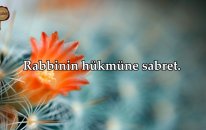 Andolsun Satır Satır Yazılmış Kitaba! Tur Suresi - Nasser al Qatami | fussilet Kuran Merkezi