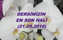 Dersimizin En Son Hali...