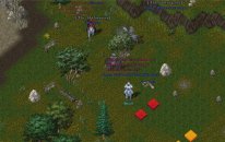 Nebula Uo Shard | Binekli 2vs2 PvP Turnuvası