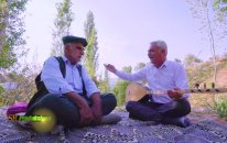 Haşim & Gülistan Tokdemir - Dengbeji (Official Video)