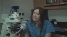 Tıp Literatürünü Değiştiren Bilim İnsanı Dr.Bahar Uslu