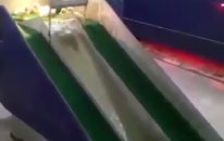 Kaydıraktan Kayan Ördek Yavruları