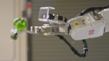 Tamamen Robotlar Yönetiminde Olan Çiftlik