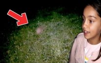 Bahçede Ansızın Karışımıza Çıktı Çok İlginç İlk Defa gördük!