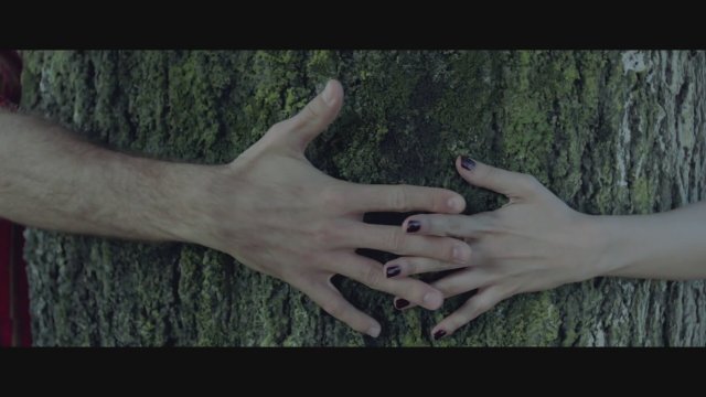 El árbol de la sangre (2018) Fragman