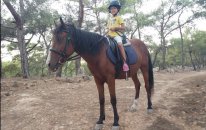 ELİF JOKEY OLDU. EN BÜYÜK ATA BİNDİ. ANTALYA PARK ORMANDA AT BİNME KEYFİ. ÇOK EĞLENDİK