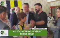 Ali Koç'a kangal yavrusu hediye edildi
