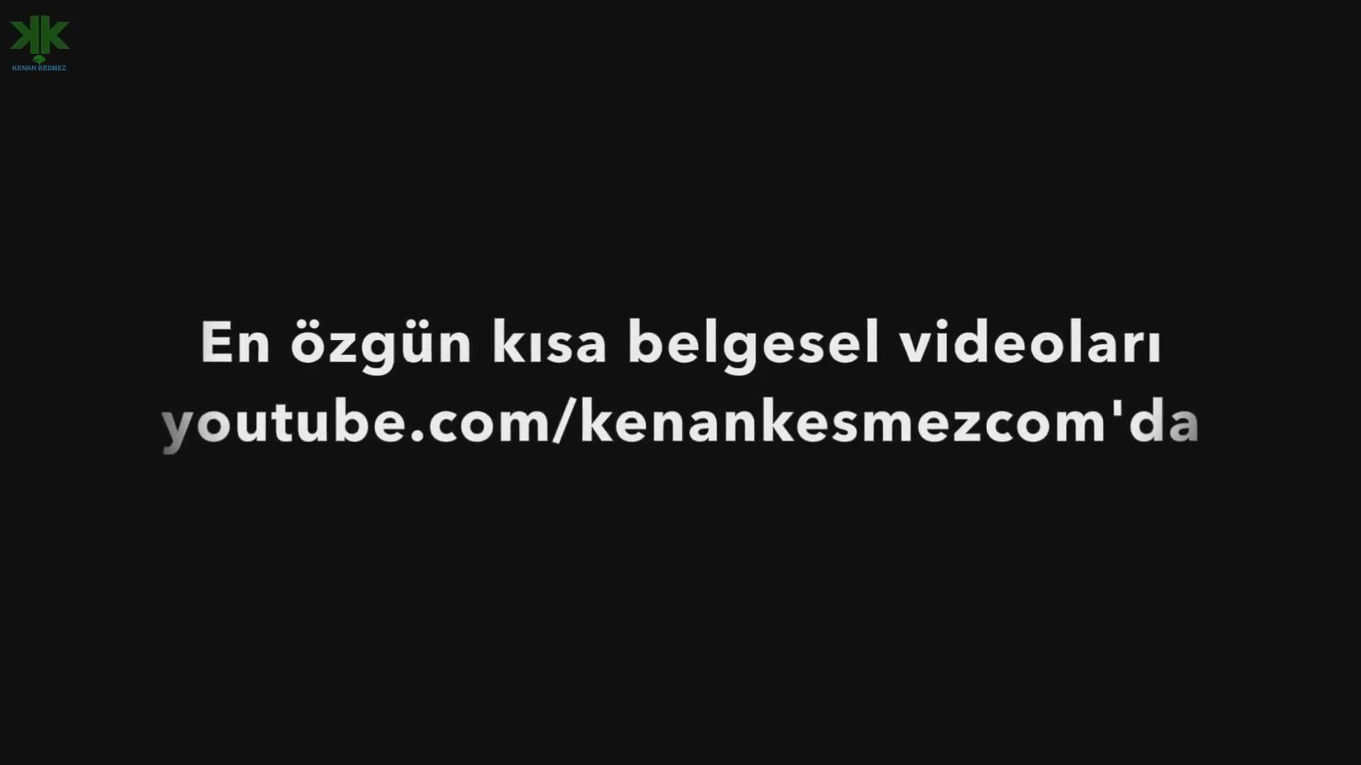 Hayvanların kan grubu var mıdır Hayvanların kan grubu var mıdır