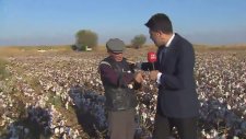 Canlı Yayında Muhabiri Fırçalayan Dayı