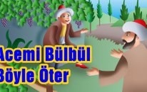 Acemi Bülbül - Nasreddin Hoca